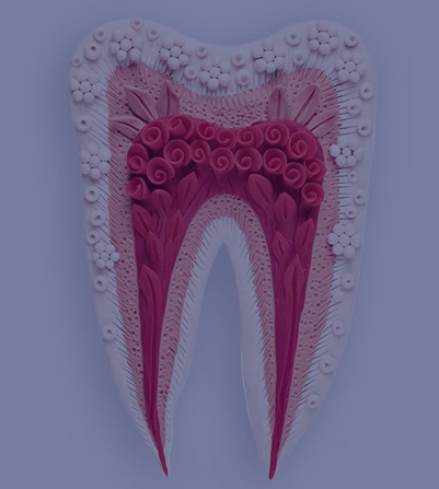 Treatment - Chase Side Dental