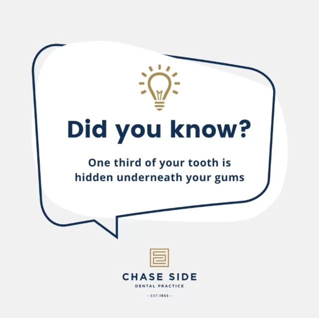 The visible part of your tooth, the crown, is only a fraction of the whole structure. The hidden part, known as the root, anchors your tooth firmly in place and provides stability and support.

Why it matters: Healthy gums are essential for protecting the roots of your teeth. They act as a barrier against bacteria and help keep your teeth securely in place.

Take care of your gums: Brush and floss daily and visit your dentist regularly for routine check-ups to ensure your gums stay healthy and strong.

Keep smiling and take care of those hidden roots! 😁🌟

#DentalFacts #HealthySmile #OralHealth #GumCare #ToothAnatomy #SmileBright #chasesidedentalpractice #chaseside #enfield #dentistenfield #dental #dentist #dentalhealth #dentistlondon #northlondondentist #implants #teethwhiteninglondon #endodontics #compositebonding #generaldentistrylondon #hygienelondon #hygienist